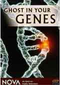 روح در ژن های شما